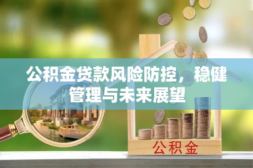 云林公积金贷款风险防控，稳健管理与未来展望