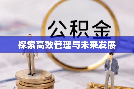 云林探索高效管理与未来发展