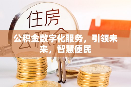 云林公积金数字化服务，引领未来，智慧便民