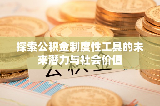 云林探索公积金制度性工具的未来潜力与社会价值