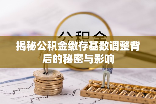云林揭秘公积金缴存基数调整背后的秘密与影响