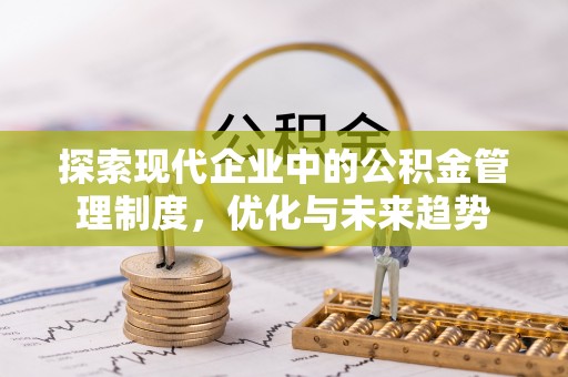 云林探索现代企业中的公积金管理制度，优化与未来趋势