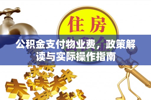 云林公积金支付物业费，政策解读与实际操作指南
