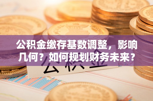 云林公积金缴存基数调整，影响几何？如何规划财务未来？