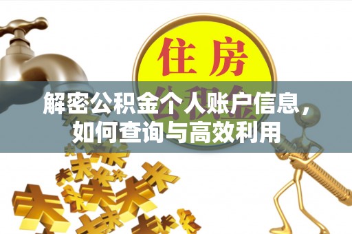 云林解密公积金个人账户信息，如何查询与高效利用