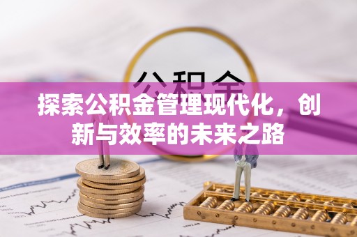 云林探索公积金管理现代化，创新与效率的未来之路