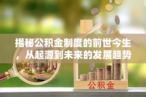 云林揭秘公积金制度的前世今生，从起源到未来的发展趋势