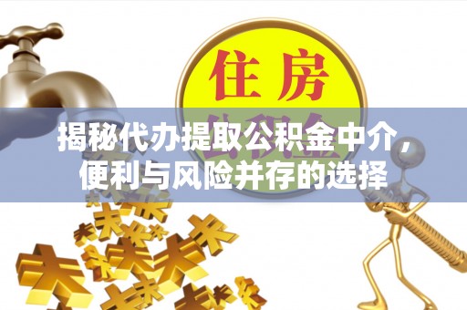 云林揭秘代办提取公积金中介，便利与风险并存的选择
