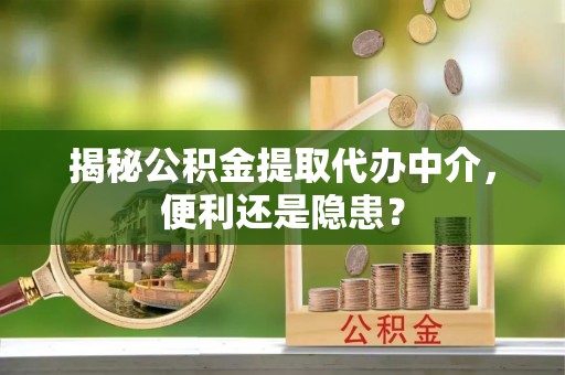 云林揭秘公积金提取代办中介，便利还是隐患？