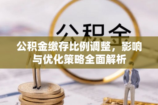 云林公积金缴存比例调整，影响与优化策略全面解析