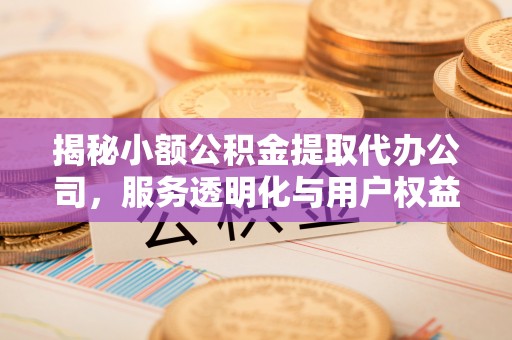 云林揭秘小额公积金提取代办公司，服务透明化与用户权益保障