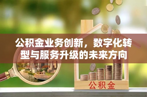 云林公积金业务创新，数字化转型与服务升级的未来方向