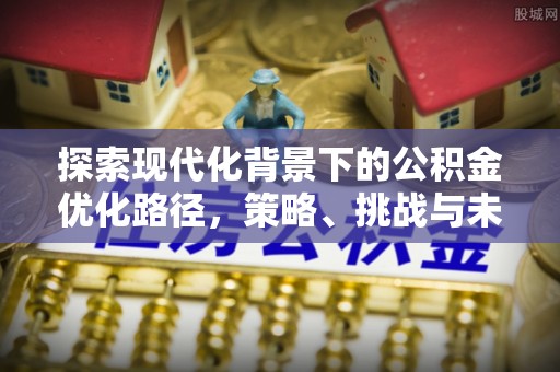 云林探索现代化背景下的公积金优化路径，策略、挑战与未来展望