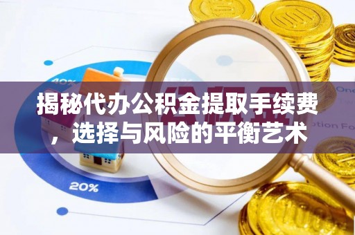 云林揭秘代办公积金提取手续费，选择与风险的平衡艺术