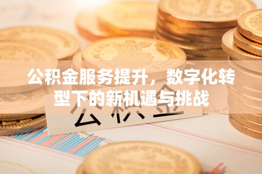 云林公积金服务提升，数字化转型下的新机遇与挑战