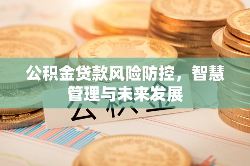 云林公积金贷款风险防控，智慧管理与未来发展