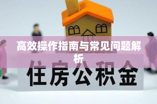 云林高效操作指南与常见问题解析