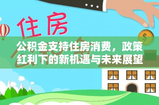 云林公积金支持住房消费，政策红利下的新机遇与未来展望