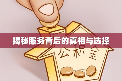 云林揭秘服务背后的真相与选择