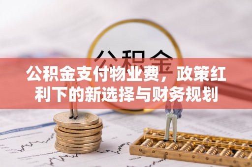 云林公积金支付物业费，政策红利下的新选择与财务规划