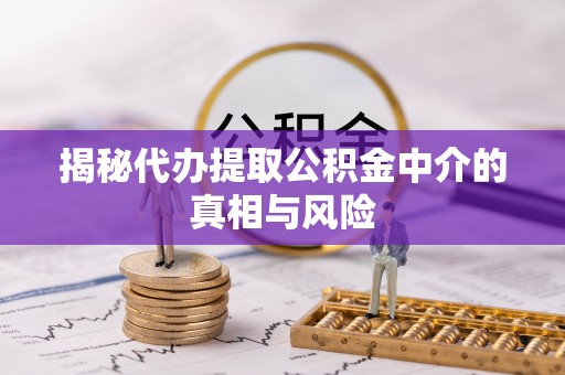 云林揭秘代办提取公积金中介的真相与风险