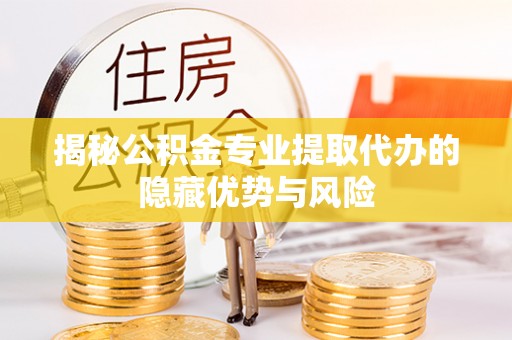 云林揭秘公积金专业提取代办的隐藏优势与风险