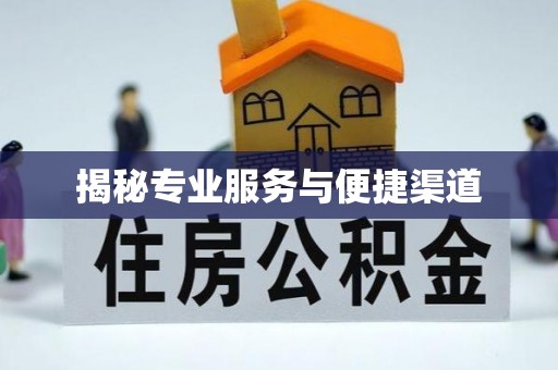 云林揭秘专业服务与便捷渠道