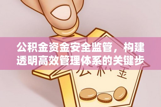 云林公积金资金安全监管，构建透明高效管理体系的关键步骤