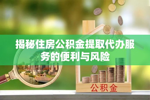 云林揭秘住房公积金提取代办服务的便利与风险