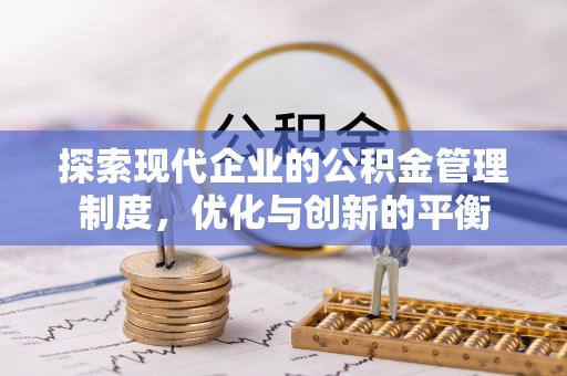 云林探索现代企业的公积金管理制度，优化与创新的平衡