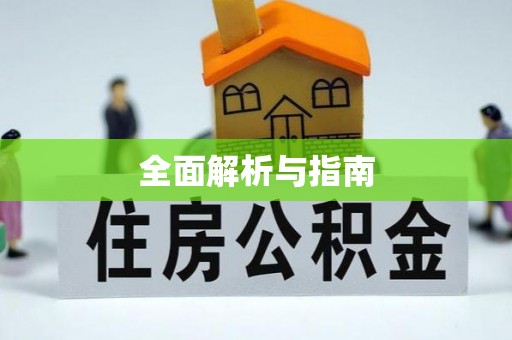 云林全面解析与指南