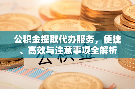 云林公积金提取代办服务，便捷、高效与注意事项全解析