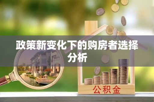 云林政策新变化下的购房者选择分析
