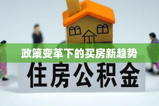 云林政策变革下的买房新趋势