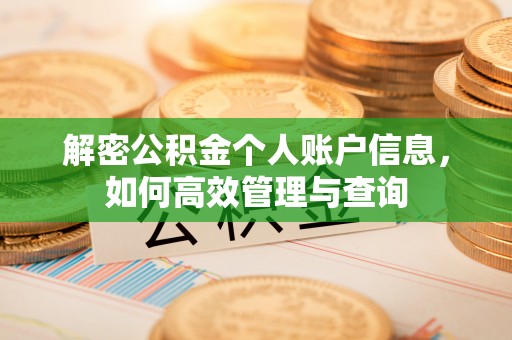 云林解密公积金个人账户信息，如何高效管理与查询