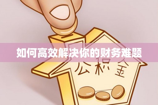 云林如何高效解决你的财务难题