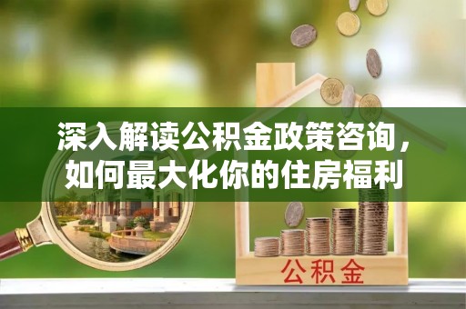 云林深入解读公积金政策咨询，如何最大化你的住房福利