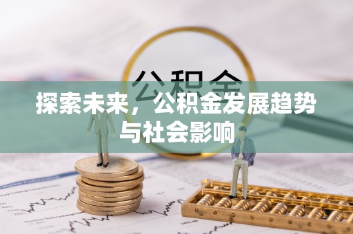 云林探索未来，公积金发展趋势与社会影响