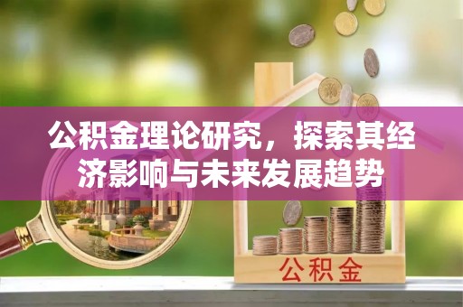 云林公积金理论研究，探索其经济影响与未来发展趋势
