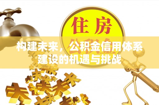 云林构建未来，公积金信用体系建设的机遇与挑战
