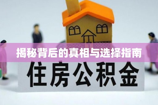云林揭秘背后的真相与选择指南