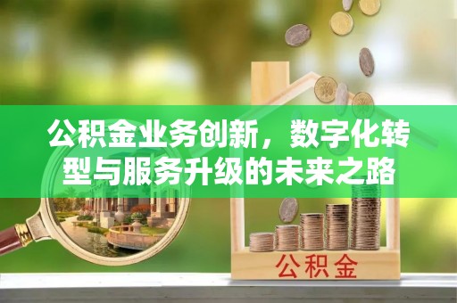 云林公积金业务创新，数字化转型与服务升级的未来之路