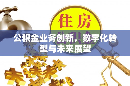 云林公积金业务创新，数字化转型与未来展望