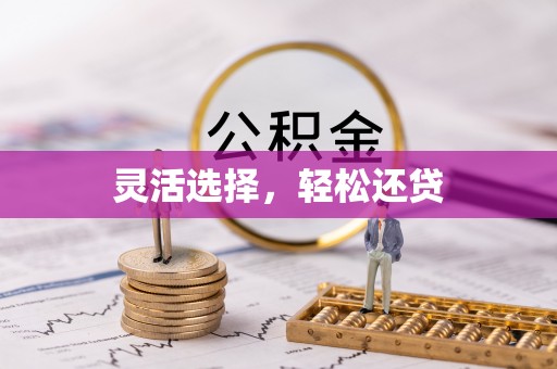 云林灵活选择，轻松还贷