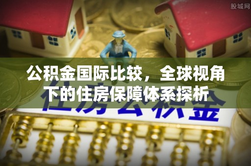 云林公积金国际比较，全球视角下的住房保障体系探析
