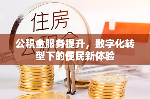 云林公积金服务提升，数字化转型下的便民新体验