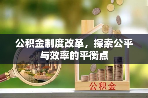 云林公积金制度改革，探索公平与效率的平衡点