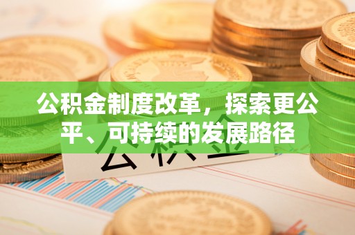 云林公积金制度改革，探索更公平、可持续的发展路径
