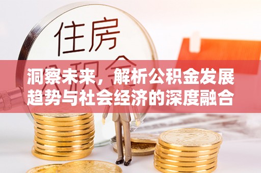 云林洞察未来，解析公积金发展趋势与社会经济的深度融合