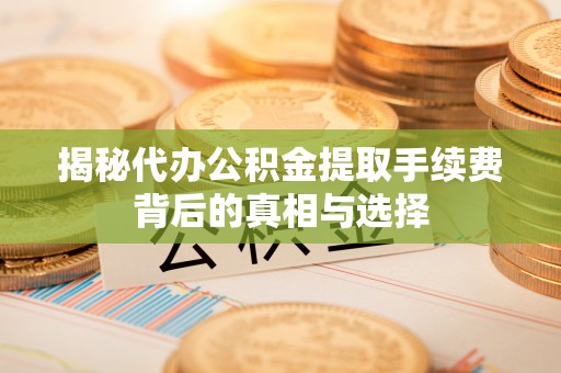 云林揭秘代办公积金提取手续费背后的真相与选择